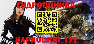 амф Абинск